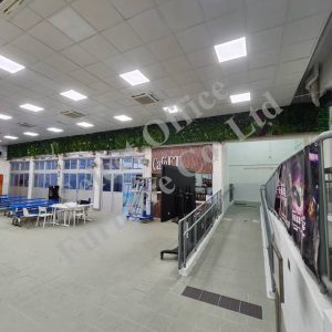 NSO011 仿真植物裝飾